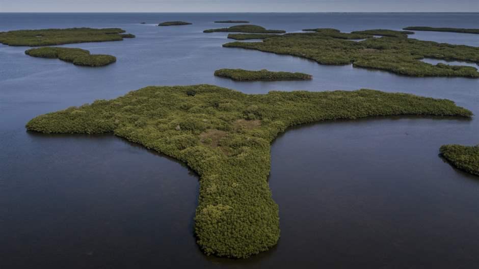 New Aquatic Preserve Off Florida Is Big Win for Wildlife, Habitat, and Long-Term Economy - The Pew Charitable Trusts