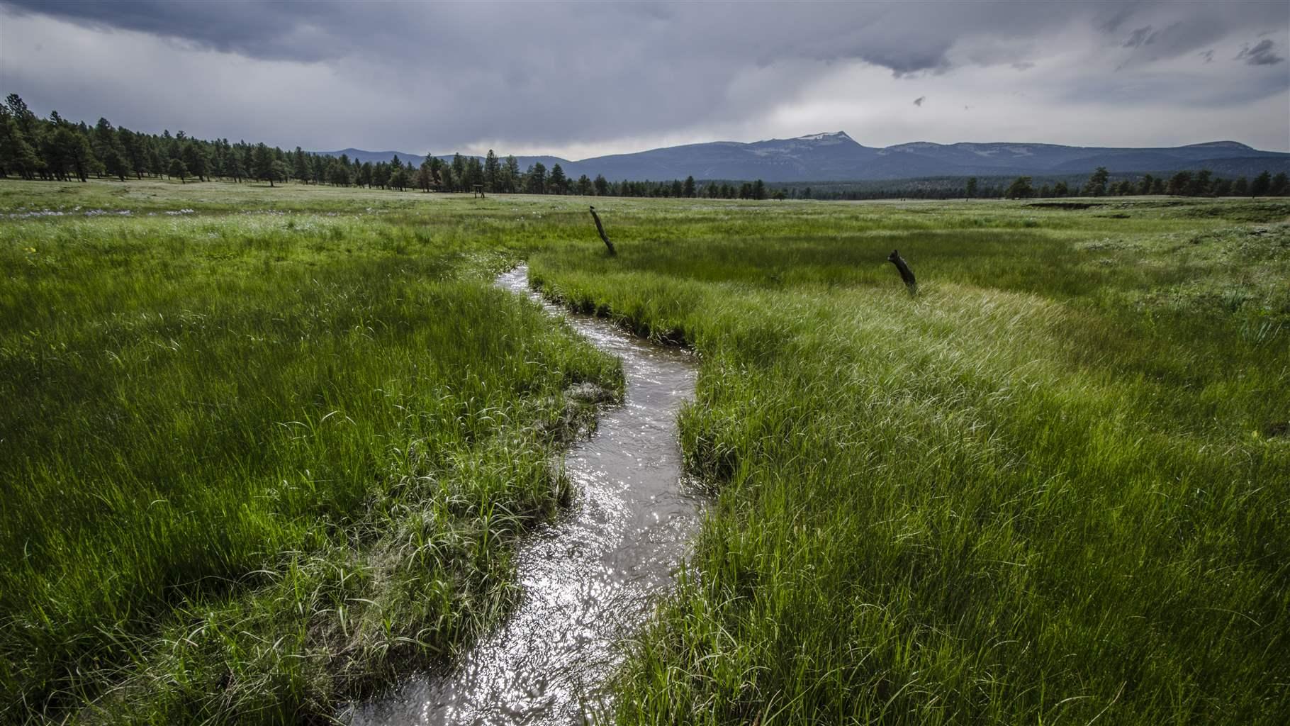 Upper Pecos Watershed