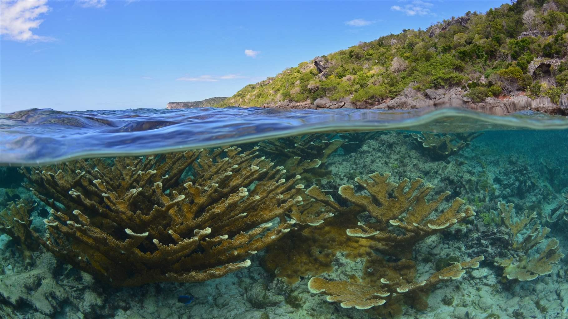 10 Ocean and Coastal Jewels Worth Safeguarding in Western Puerto Rico | The Pew Charitable Trusts 10 Ocean and Coastal Jewels Worth Safeguarding in Western Puerto Rico | The Pew Charitable Trusts