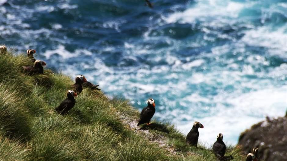 Scott Islands