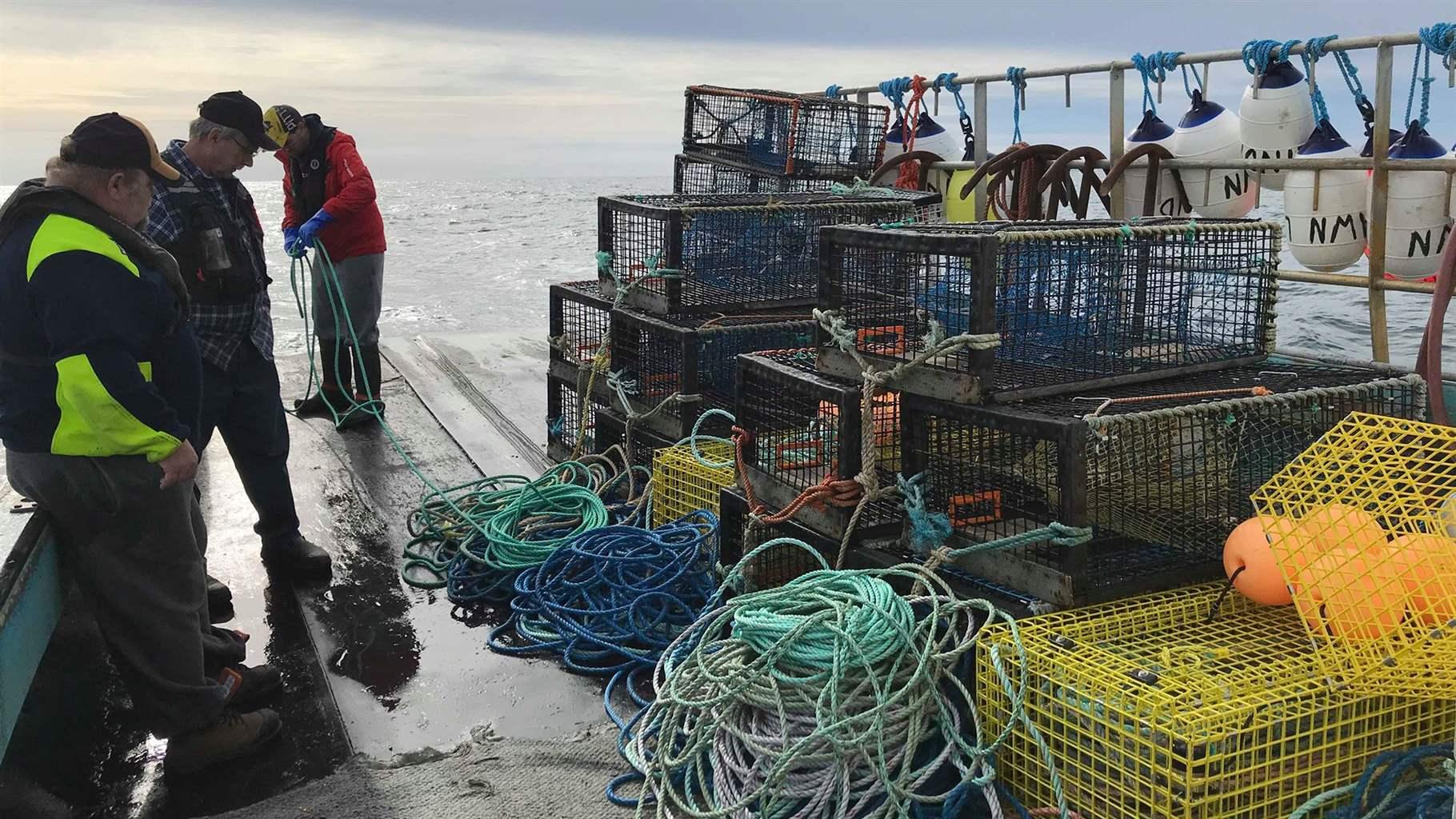 Ropeless Fishing Systems Hold Promise for Fishermen—and Whales