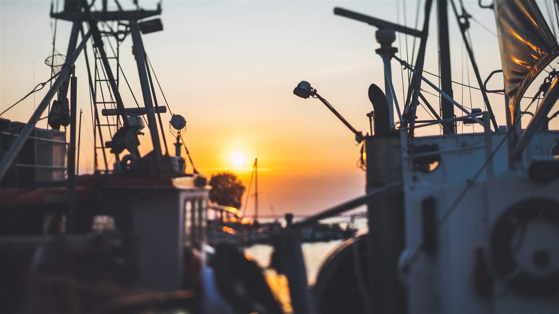 boats in harbor