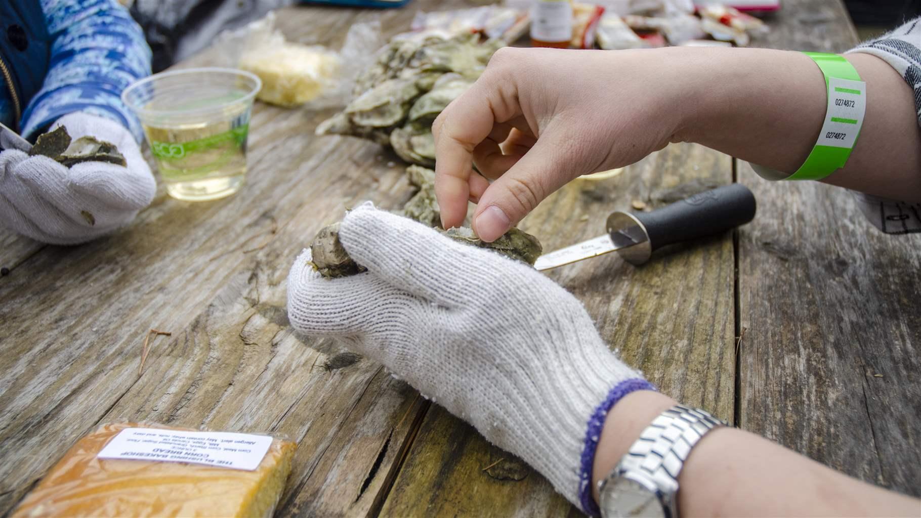 Oyster shucking