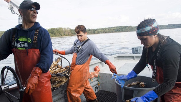 Fisherman Jay Julius Fisherman Jay Julius