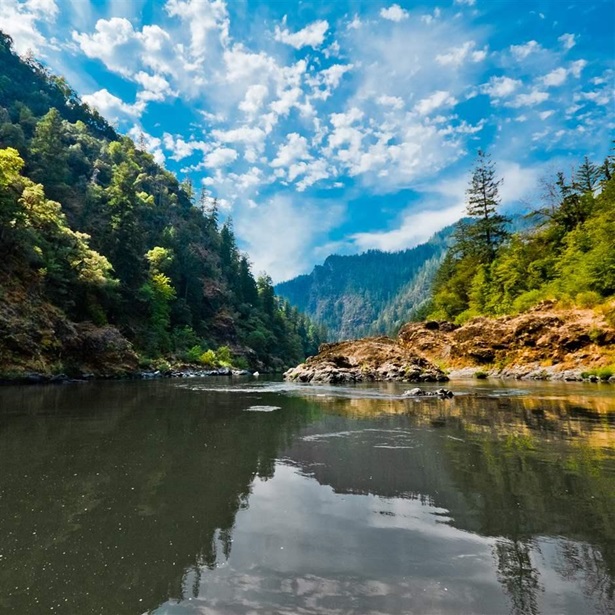 The Rogue River 