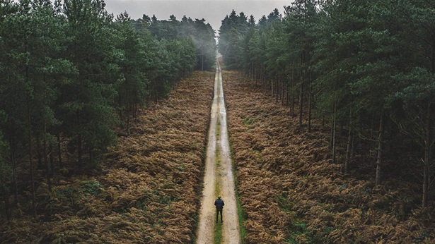 Man walking along forest track