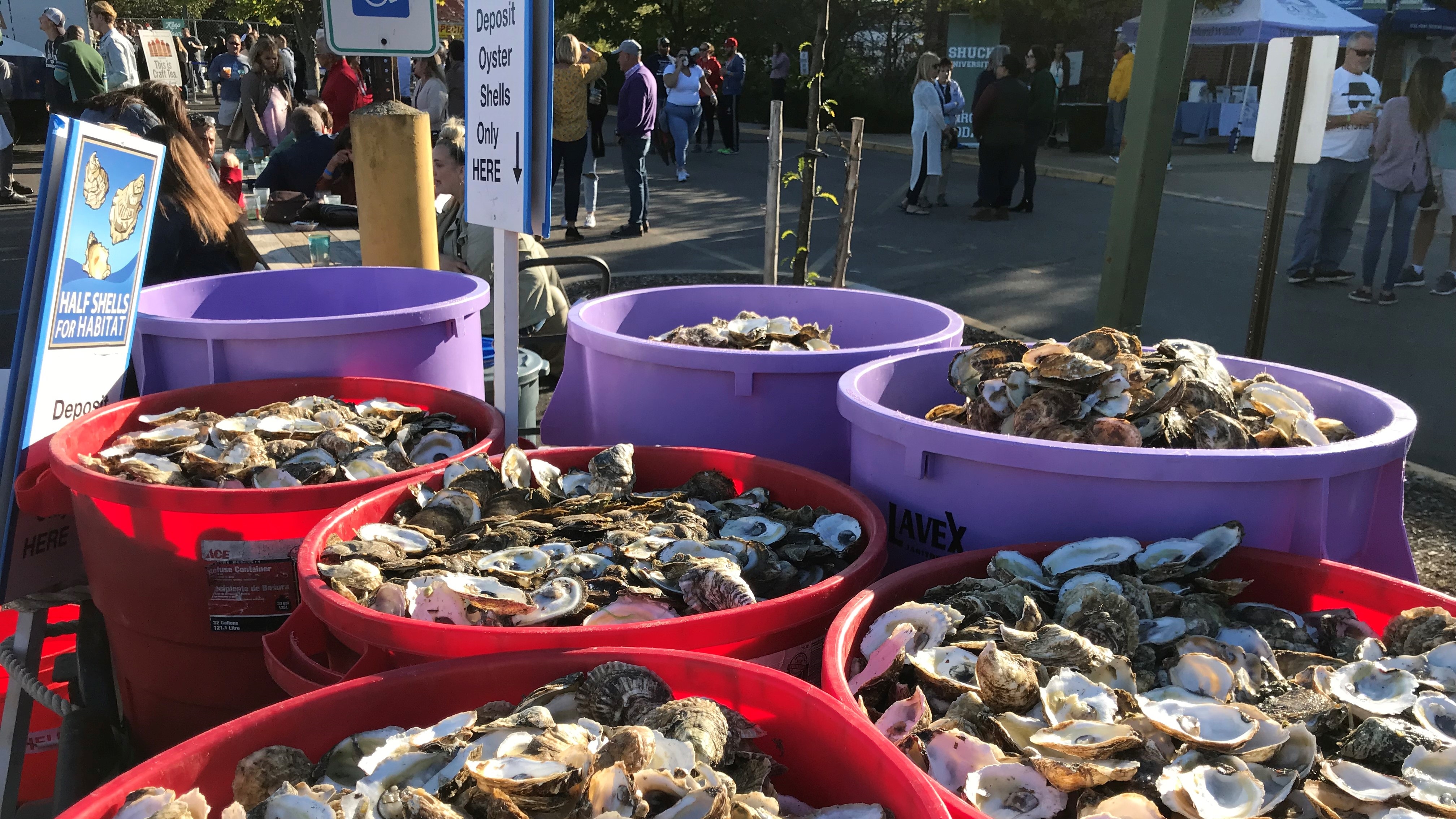 Large bins of oyster shells await recycling at a fundraising event for the Seatuck Environmental Association on Long Island in 2019.