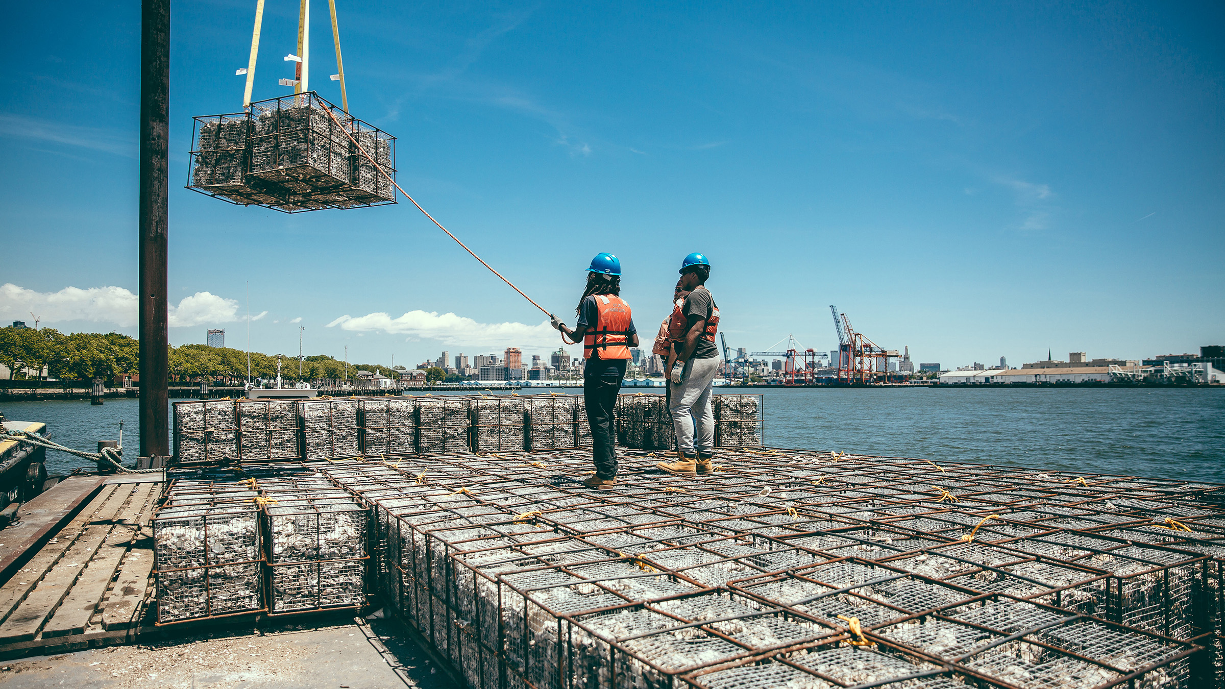 Large metal cages full of recycled oyster shells are prepared for restoration sites in New York Harbor.