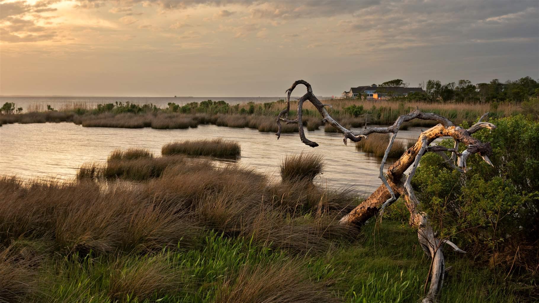 Currituck Sound