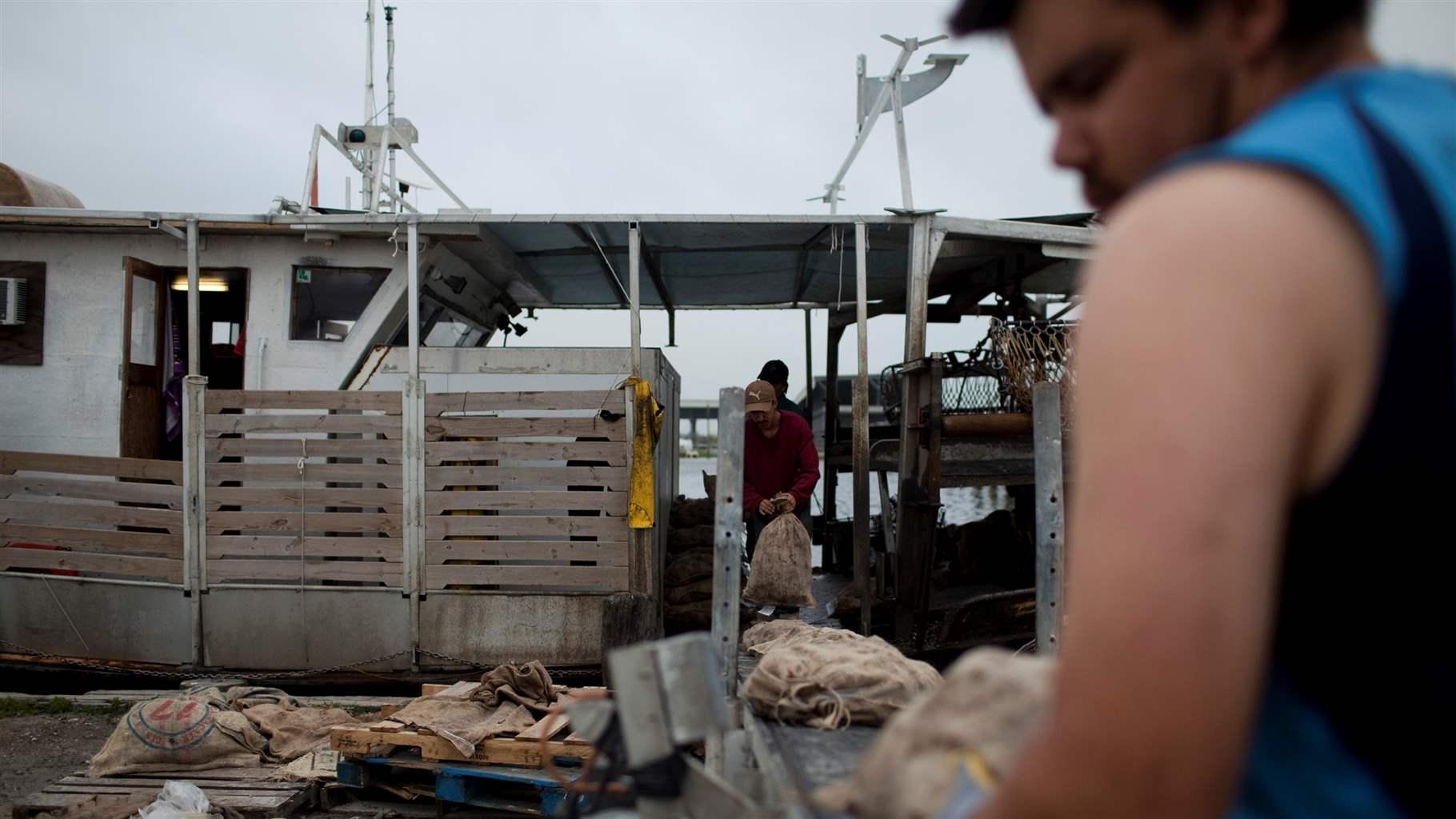 Oyster fishers