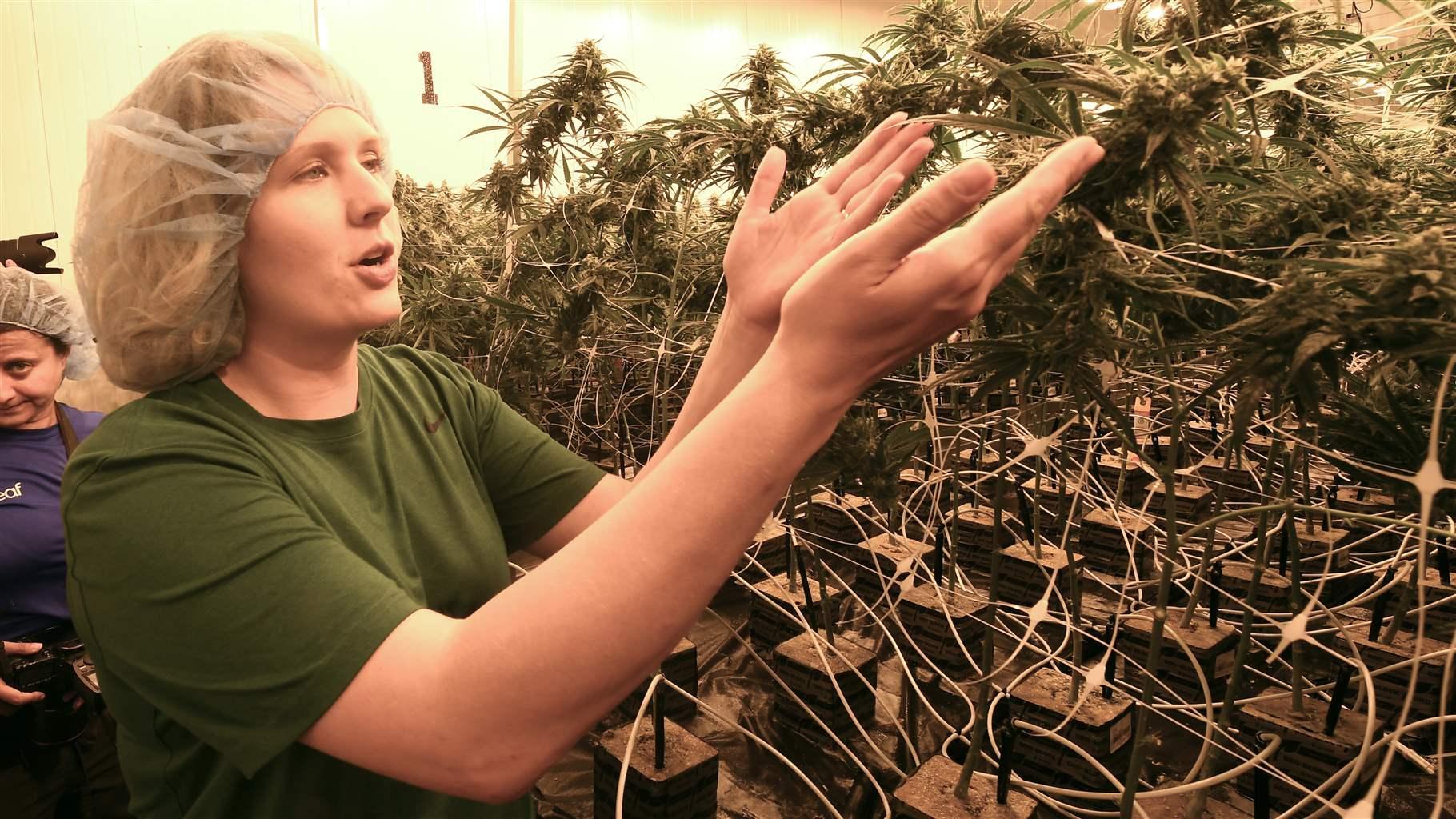 Head Grower Elizabeth Keyser Head Grower Elizabeth Keyser