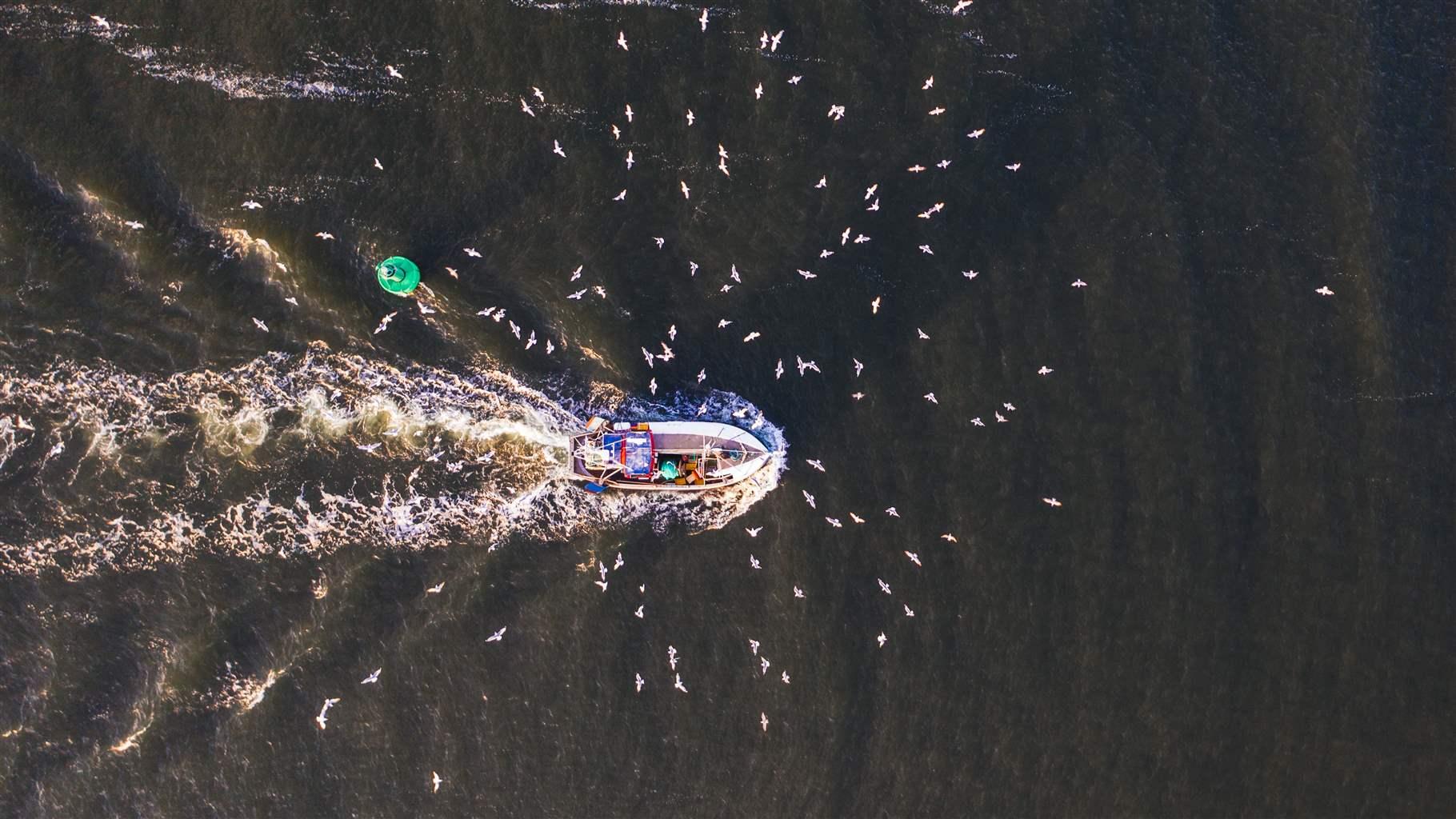 Fishing boat aerial view