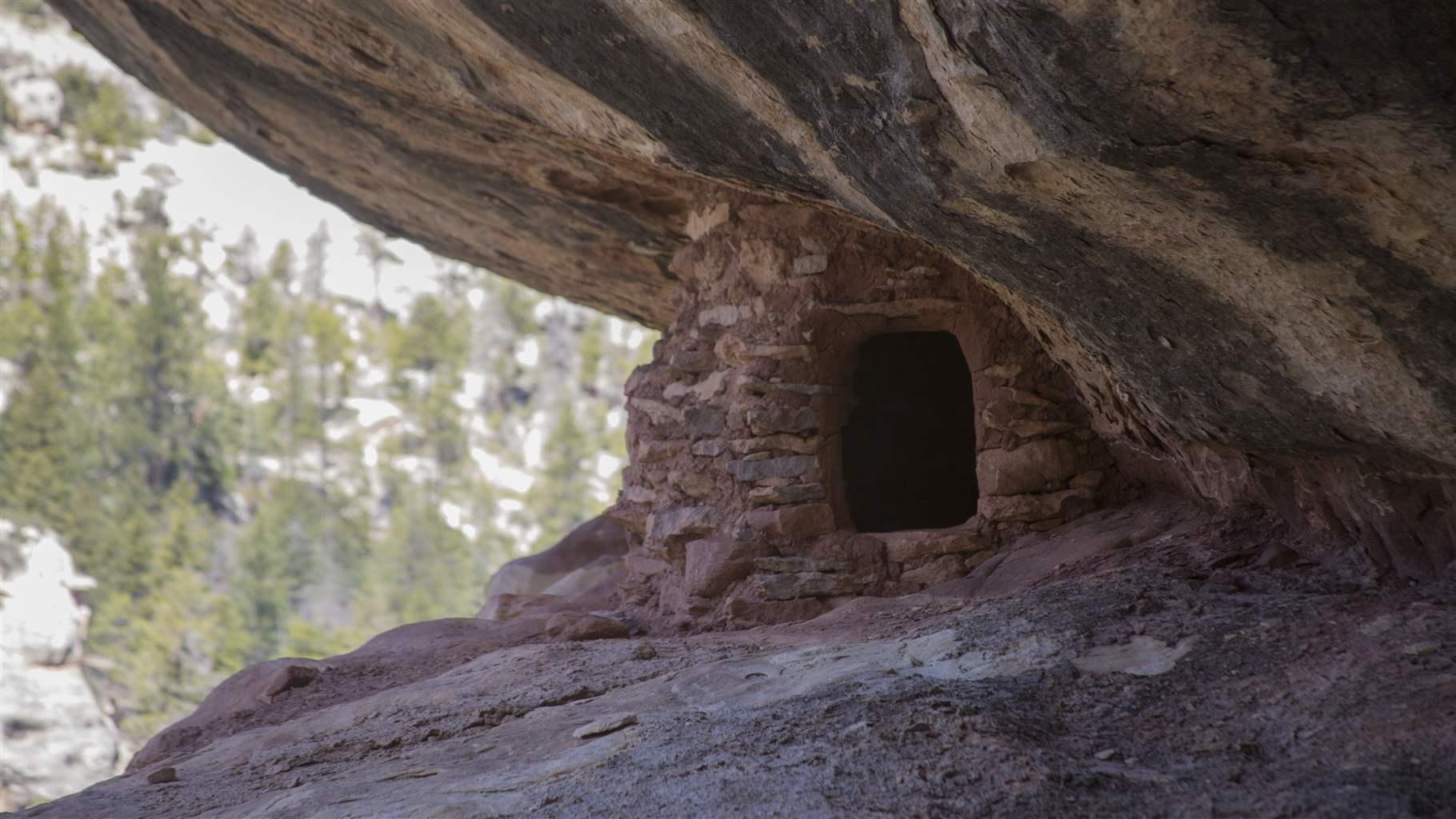 cliff dwelling in Manti-La Sal National Forest