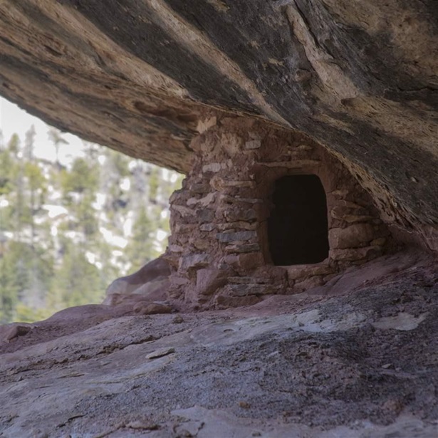 cliff dwelling in Manti-La Sal National Forest