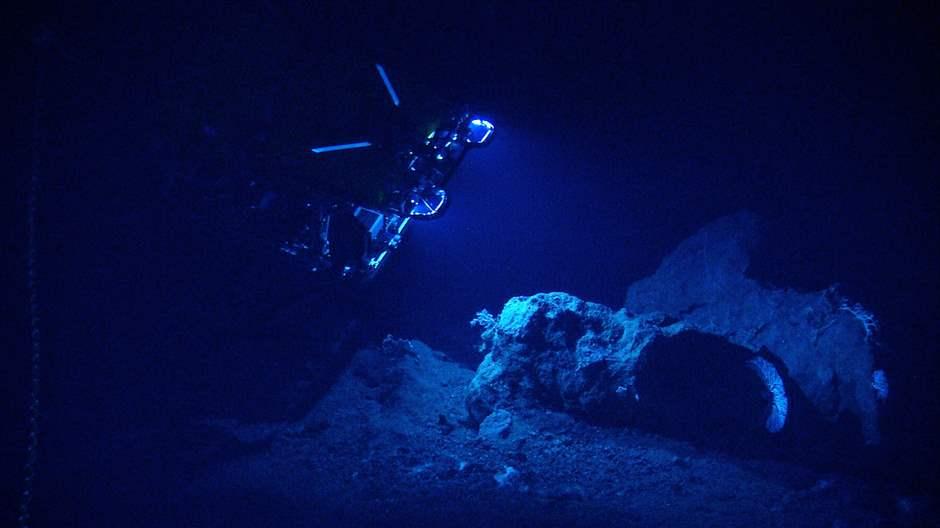 Suba diver under water observing ocean life