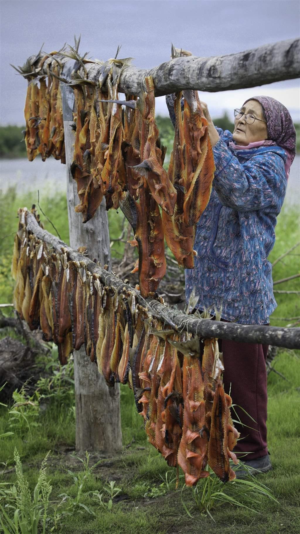 Vera Spein hangs salmon on a drying rack