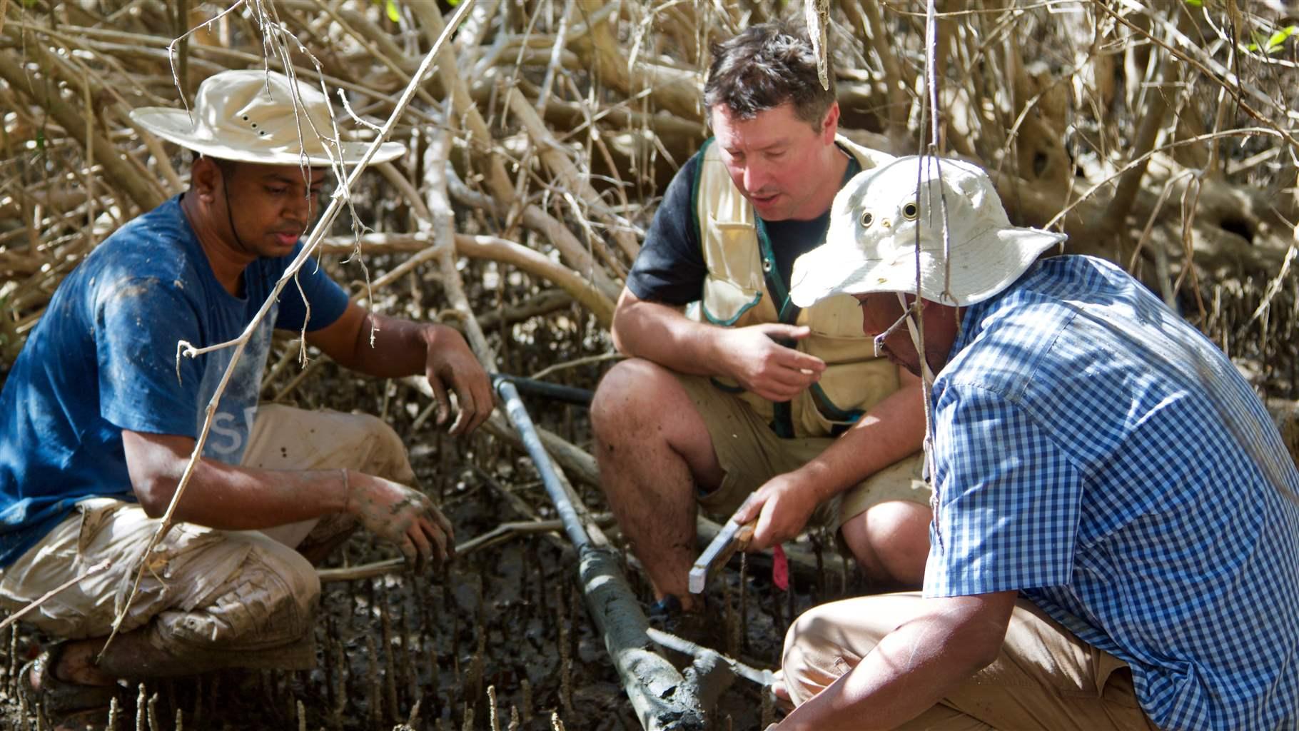 Crooks, center, leads an international team of volunteers and scientists quantifying carbon stocks in mangroves, marshes, and sabkha—flat, salt-encrusted desert—in Abu Dhabi, UAE