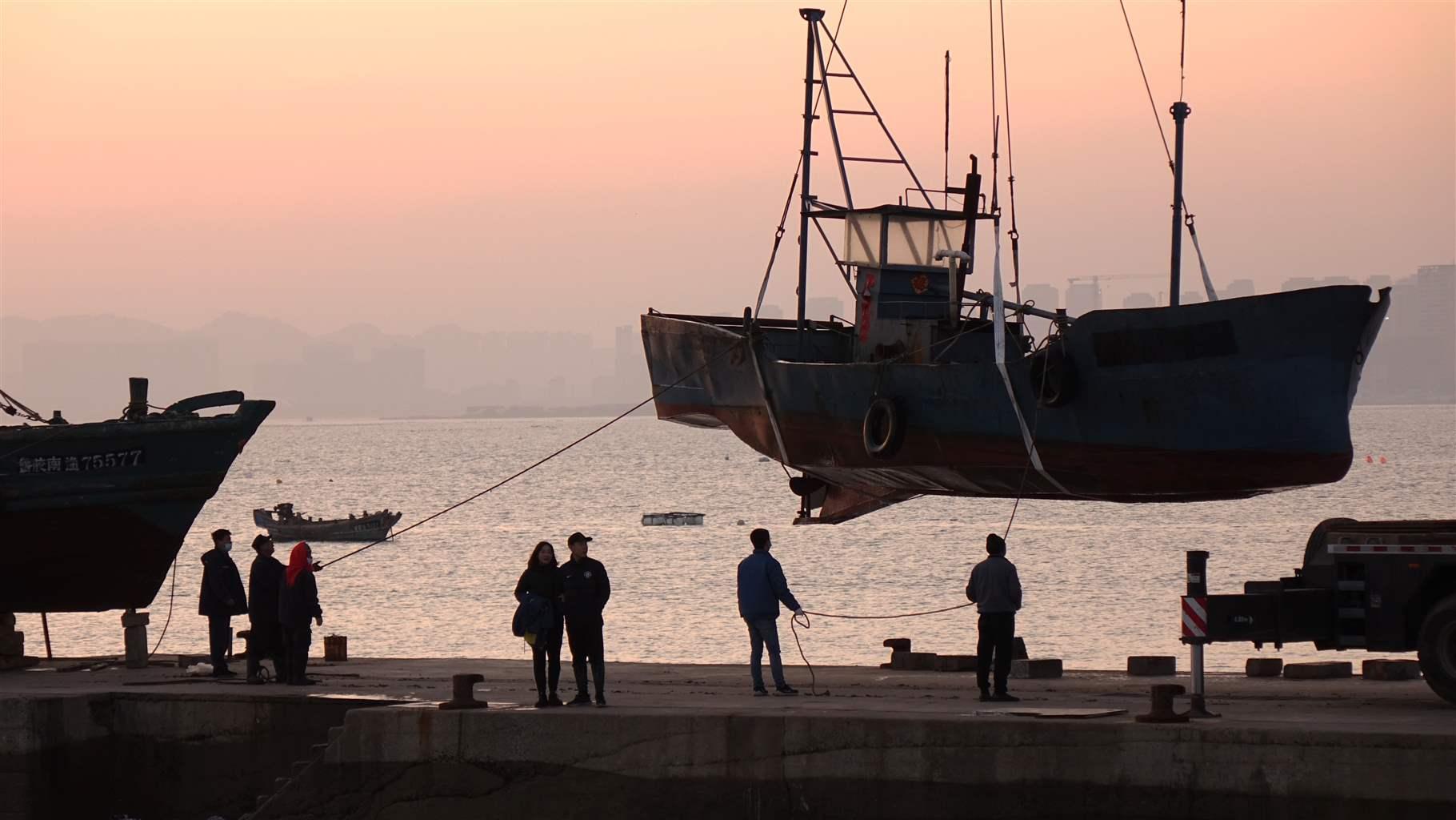 NOAA, menhaden industry study turtle interactions | National Fisherman