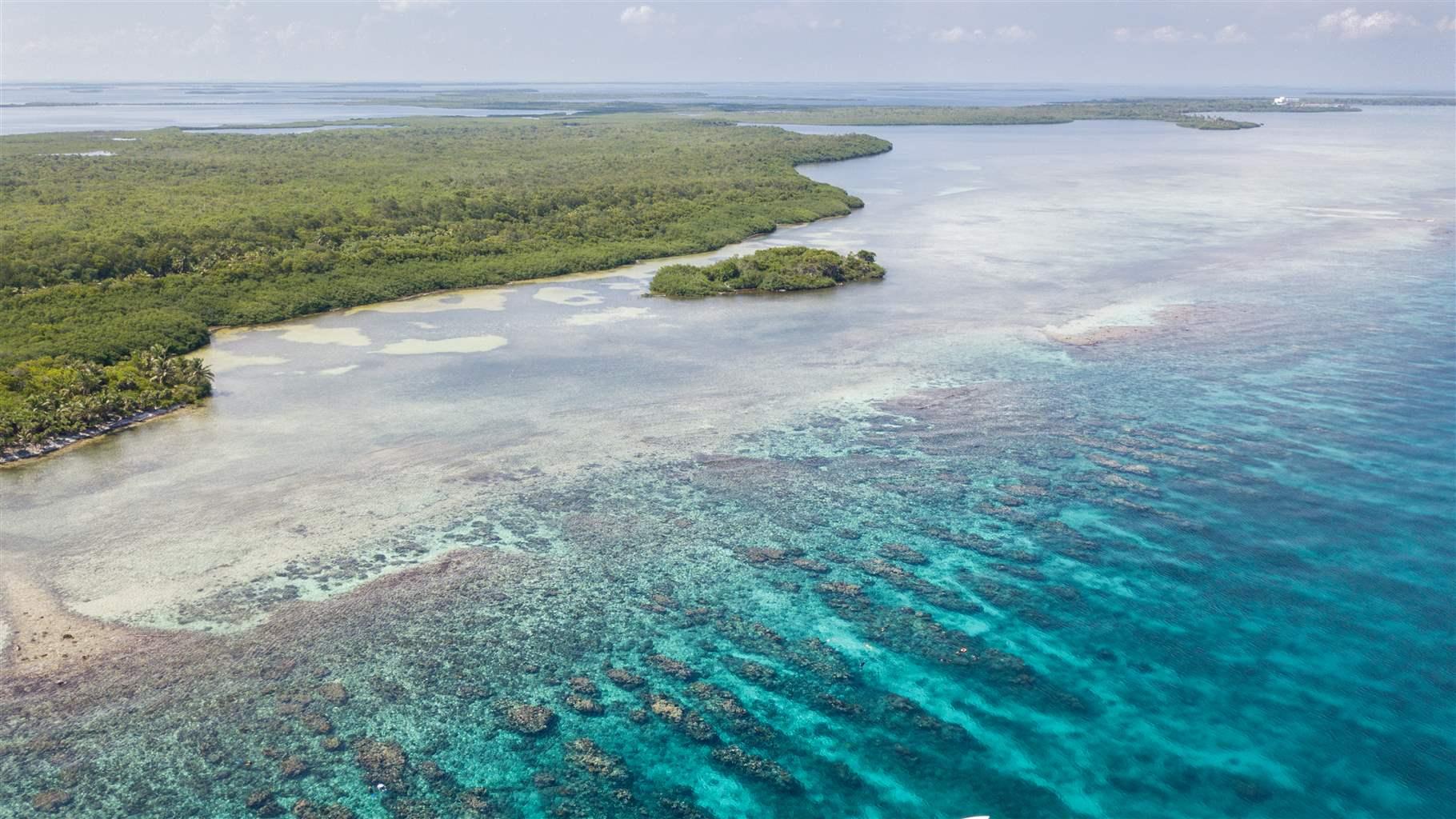 Coral reefs, mangroves, and seagrass beds like those found along Turneffe Atoll in Belize