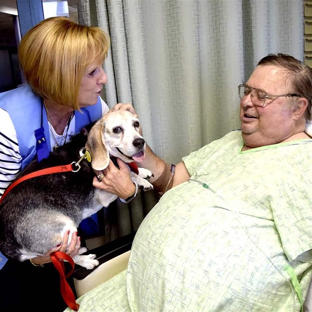 In this Aug. 20, 2019, photo, Linda Whaley holds Sarah the beagle up so Harold Christiansen, of Callender, Iowa, can pet her during a visit to UnityPoint Health-Trinity Regional Medical Center in Fort Dodge, Iowa.
