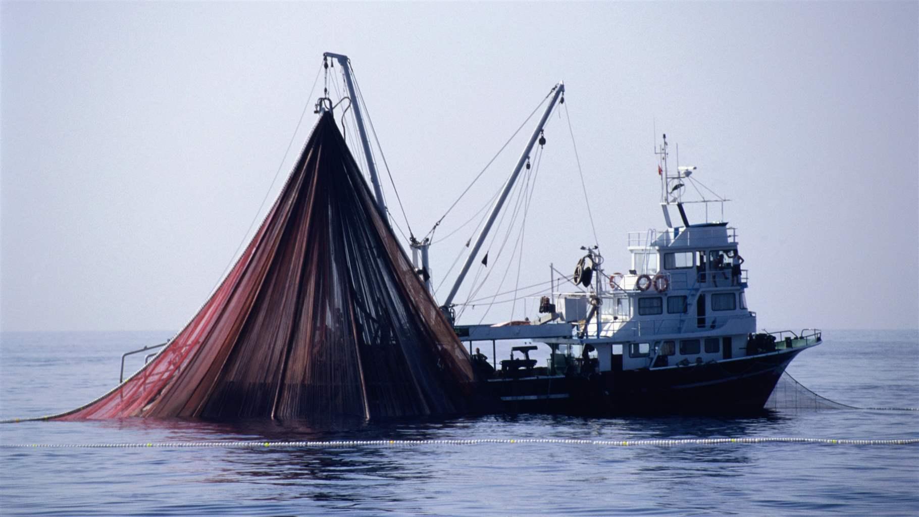 Tuna Fishing Boat Raising its Fishing Net Commercial Fishing Net