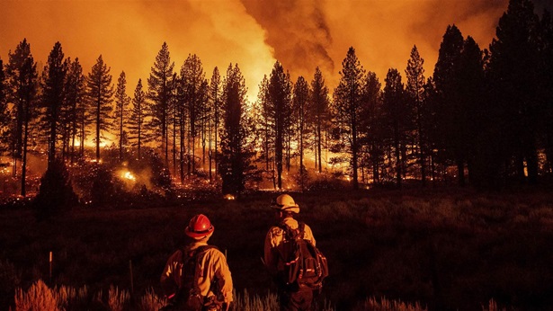 Firefighters watching wildfire Firefighters watching wildfire