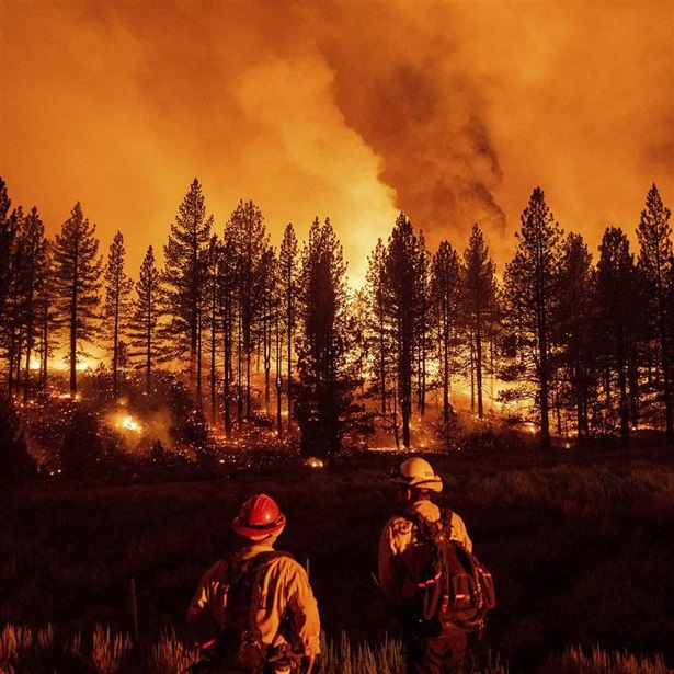Firefighters watching wildfire Firefighters watching wildfire