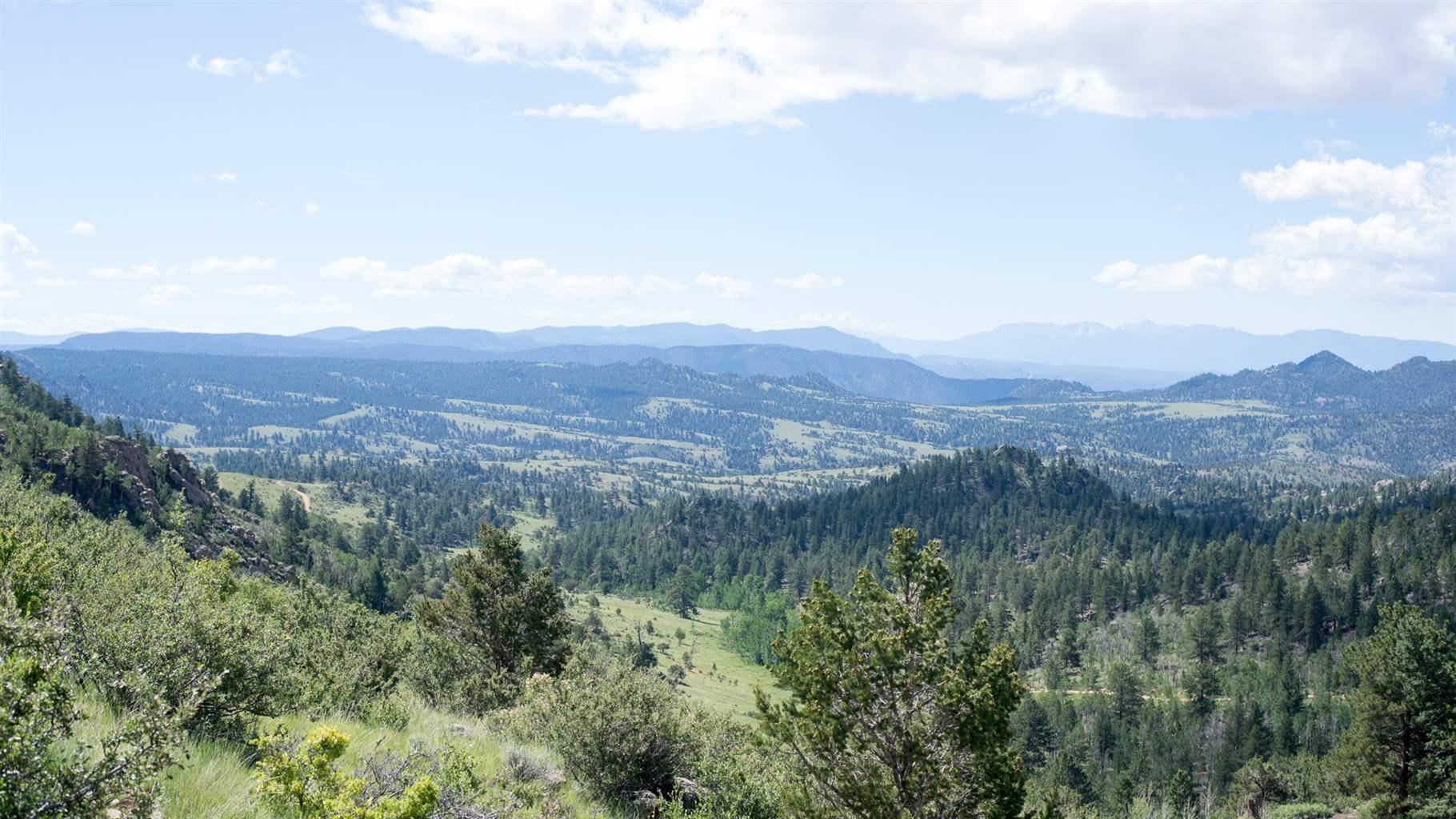 A swath of that forest, as seen from the Davis Meadow Trail, is a haven for wildlife and people seeking outdoor recreation and solitude in a healthy, functioning ecosystem and watershed