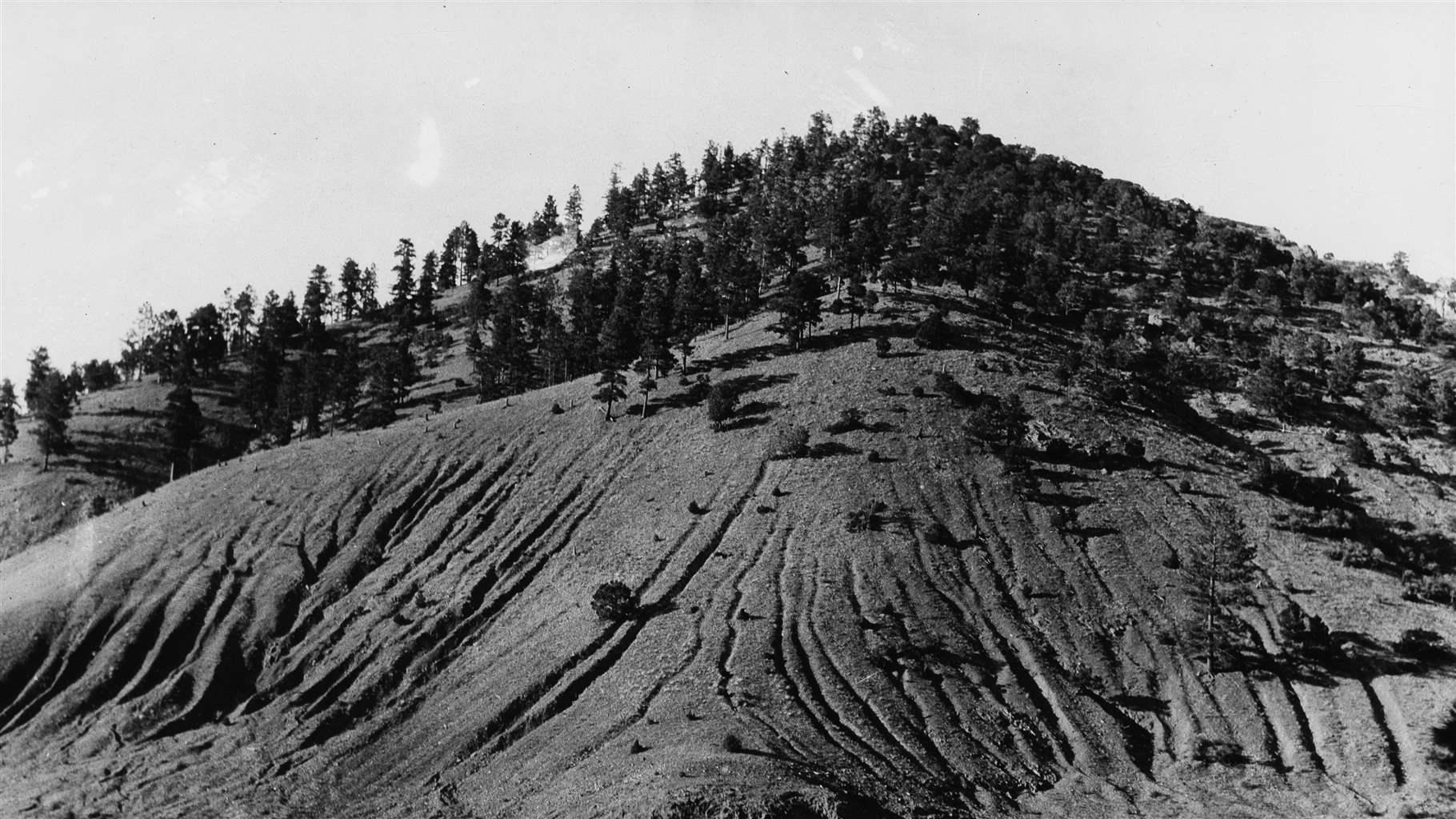 Santa Fe Creek, circa 1916, in the Santa Fe National Forest in New Mexico 