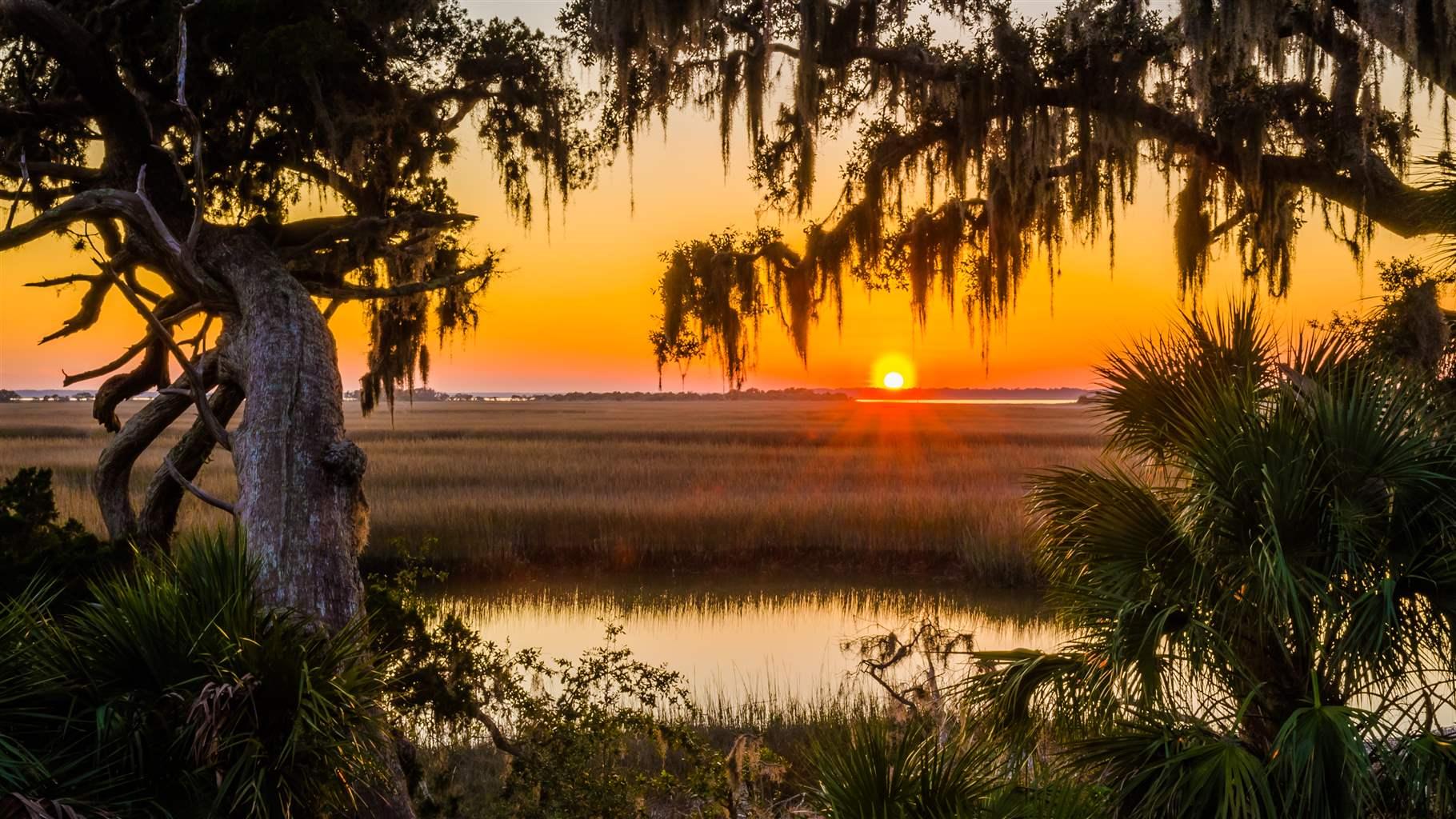 Salt marsh