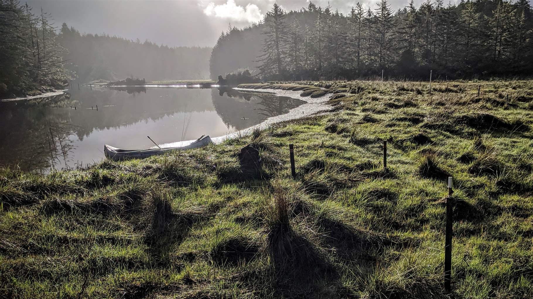 Danger Point Marsh in Oregon’s South Slough National Estuarine Research Reserve is home to numerous wetland research projects, including studies that allow scientists to estimate rates of carbon storage in the region’s tidal wetlands.