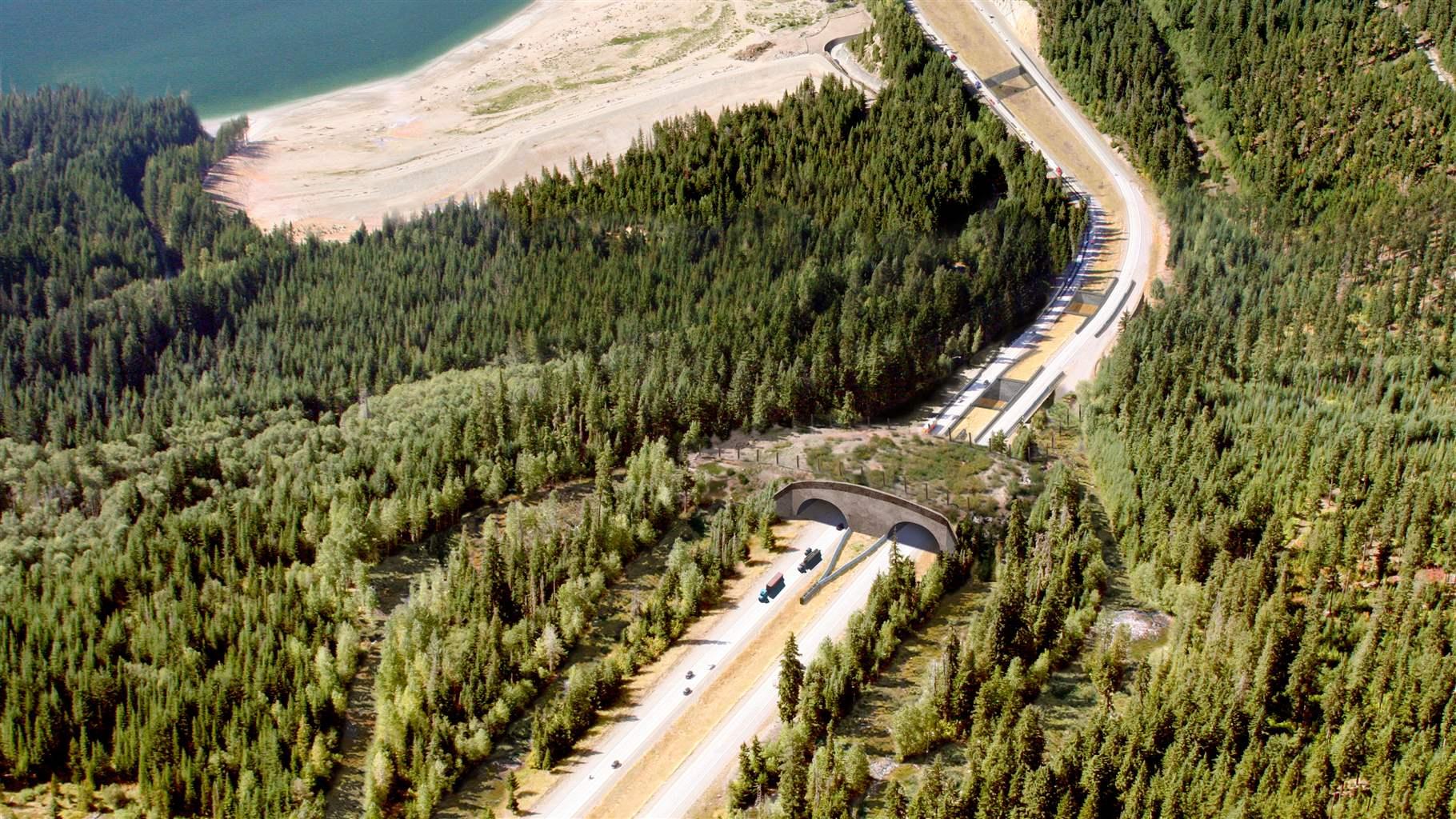 A bird’s-eye view shows a rendering of the Snoqualmie Pass wildlife overpass on I-90 in Washington, one of 27 structures that, when completed in 2029, will connect terrestrial and aquatic habitats along one of the busiest corridors in the Pacific Northwest.