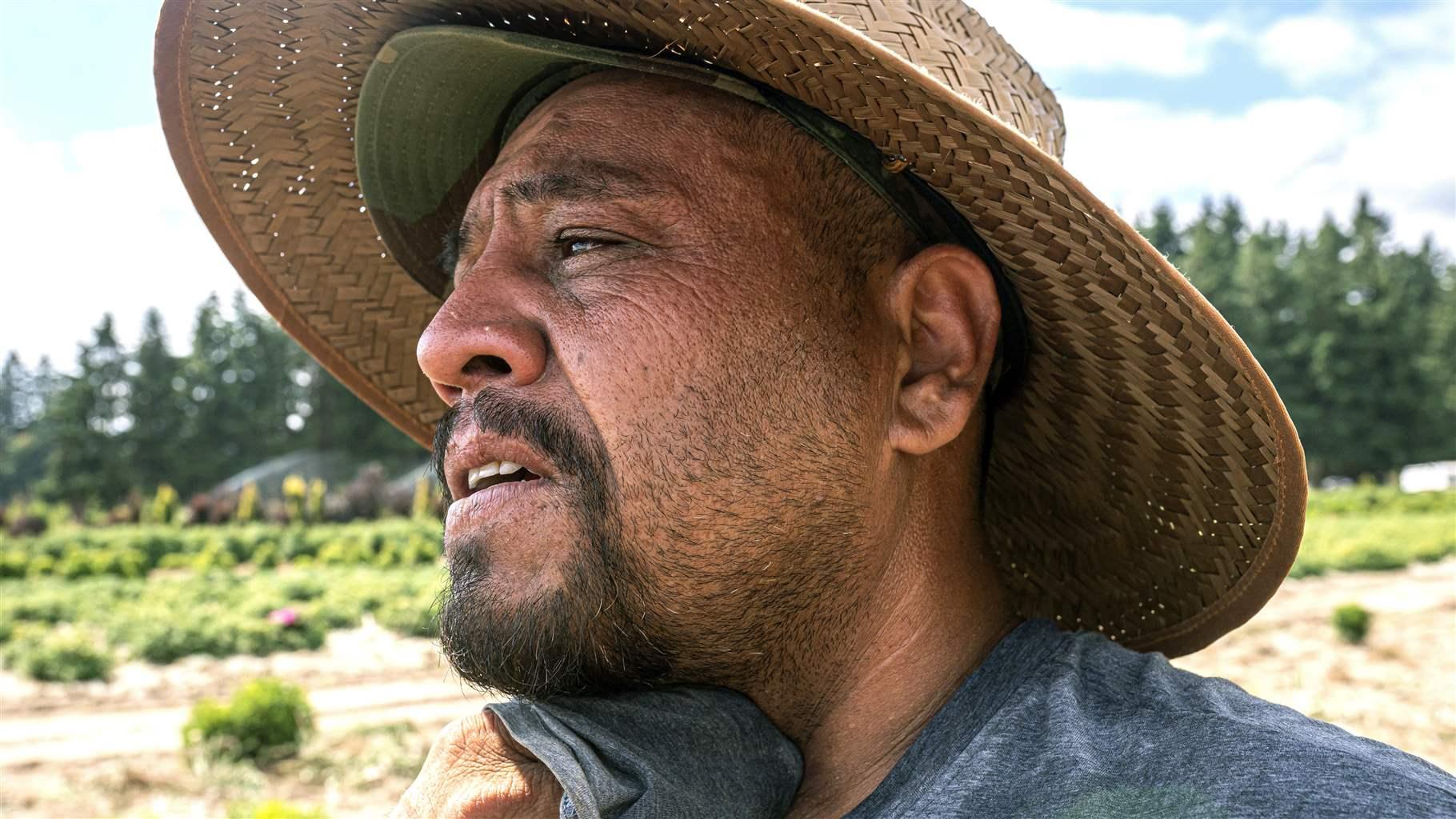 Farmworker sweating Farmworker sweating