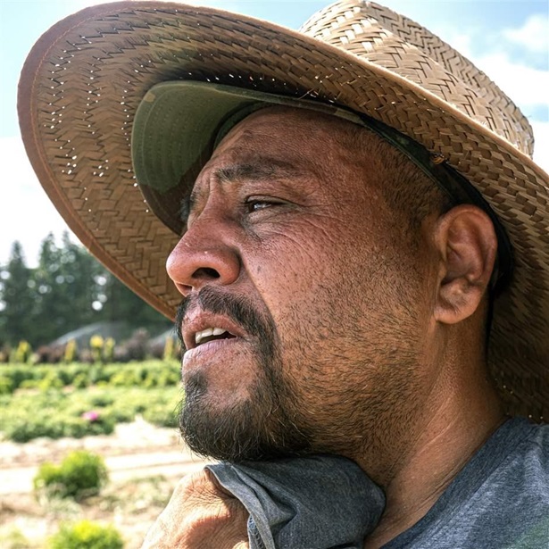 Farmworker sweating Farmworker sweating