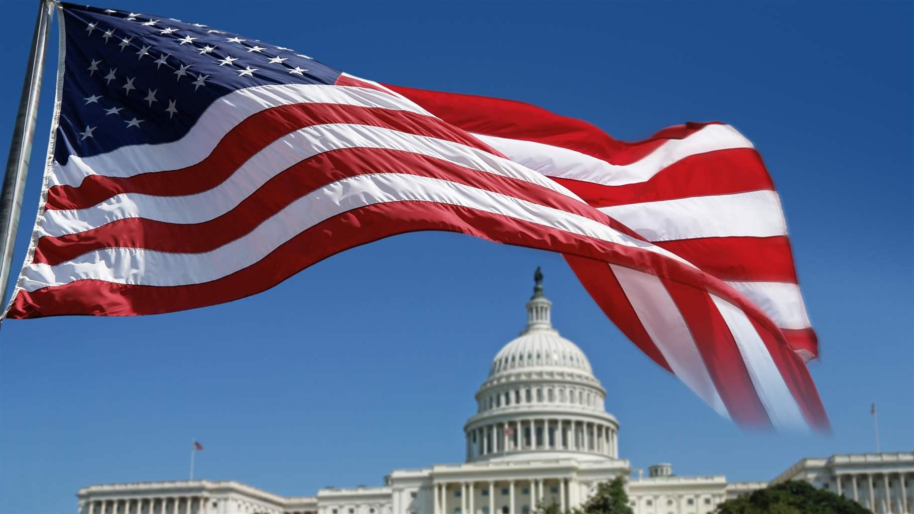 Flag over Capitol