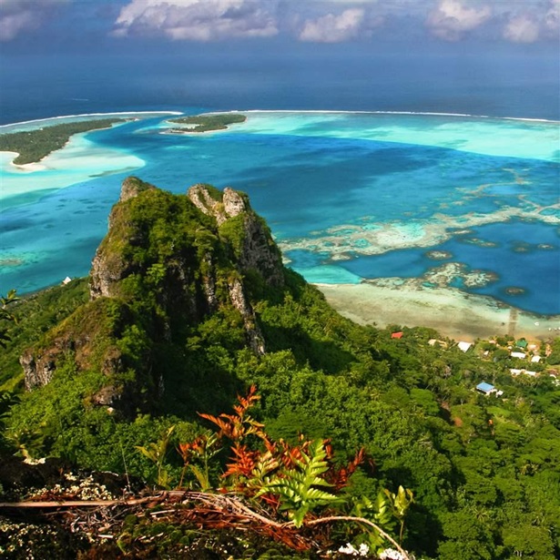 Images from waters in French Polynesia. Scenic view of coral reef, Maupiti, French Polynesia