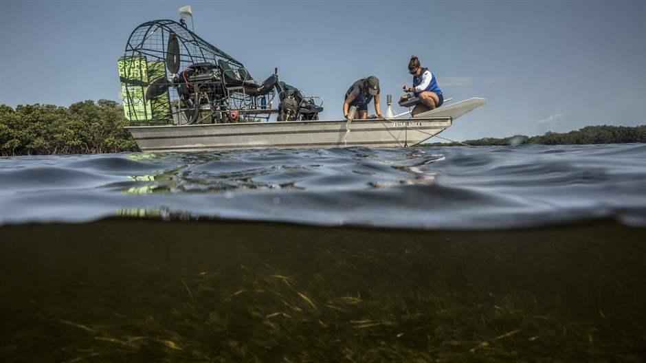 CRYSTAL RIVER, FLORIDA 