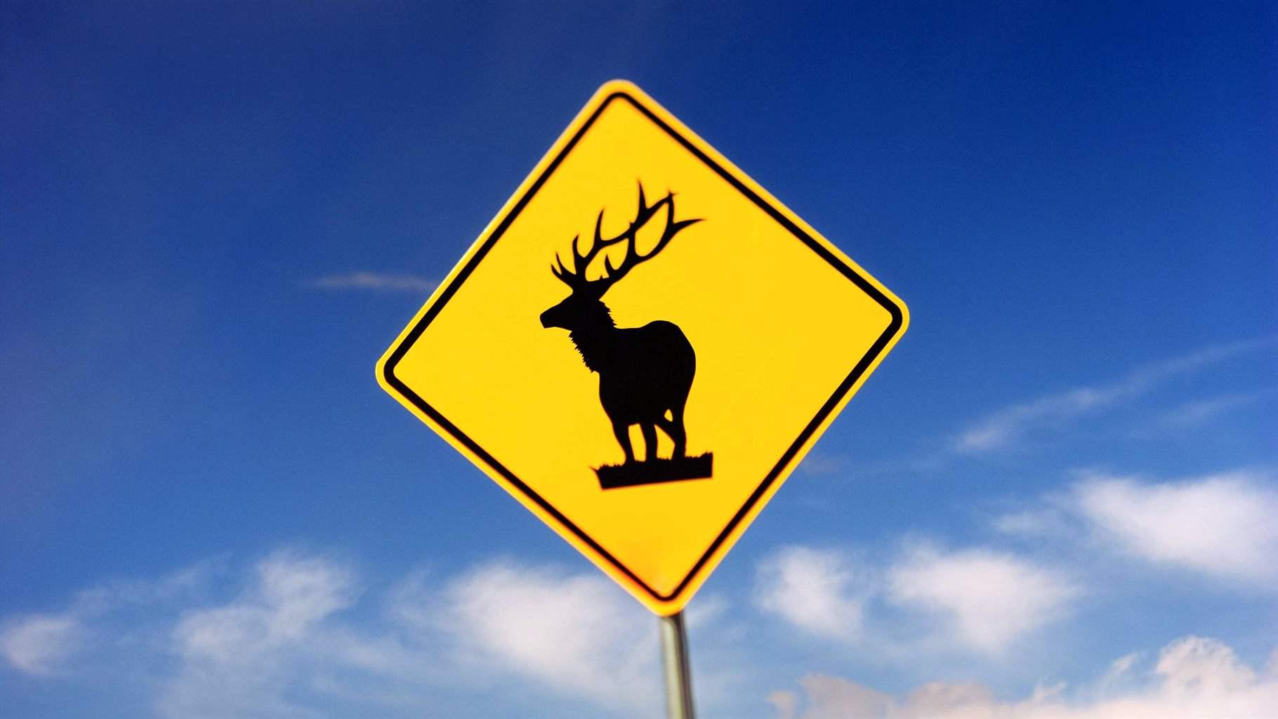 Signs like this one in Colorado help warn motorists of the potential for wildlife on roads.