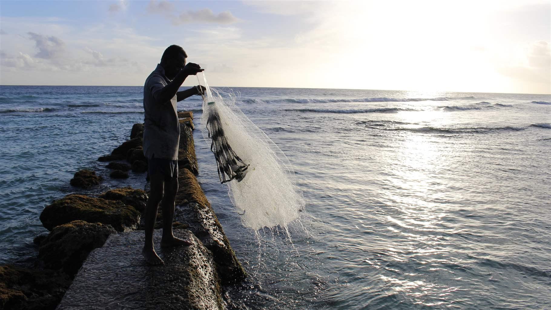 Fisherman casting his net in the sea, Hastings, Barbados, Caribbean