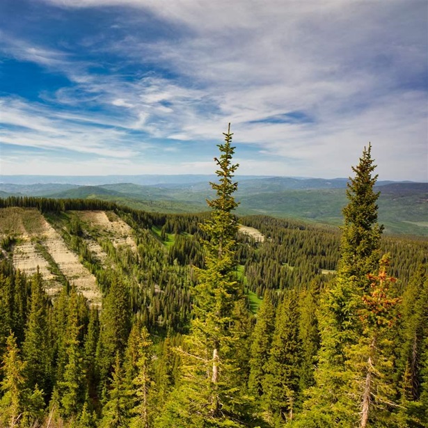 The lands around Colorado’s Chalk Mountain are among in the Grand Mesa, Uncompahgre, Gunnison National Forests that have high ecological value but lack protection, new research finds.