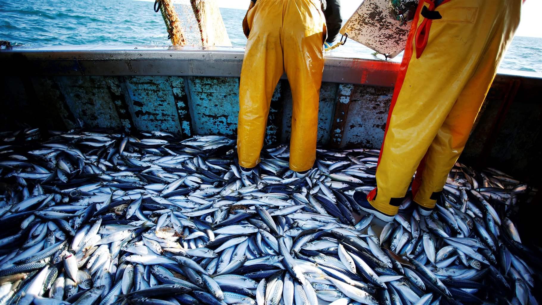 Fishermen on deck