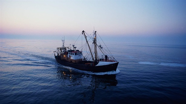 Belgium, Ostend, fishing boat in North Sea at dusk, aerial view