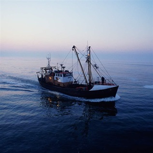 Belgium, Ostend, fishing boat in North Sea at dusk, aerial view