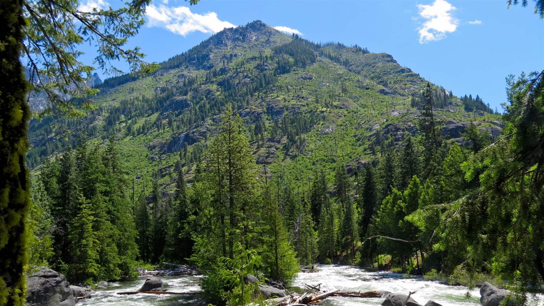 A new study finds that Icicle Creek, which supports a variety of numerous fish species including bulltrout, steelhead, chinook, and cutthroat trout, is one of among several of Washington’s waterways that new research shows merit protection.