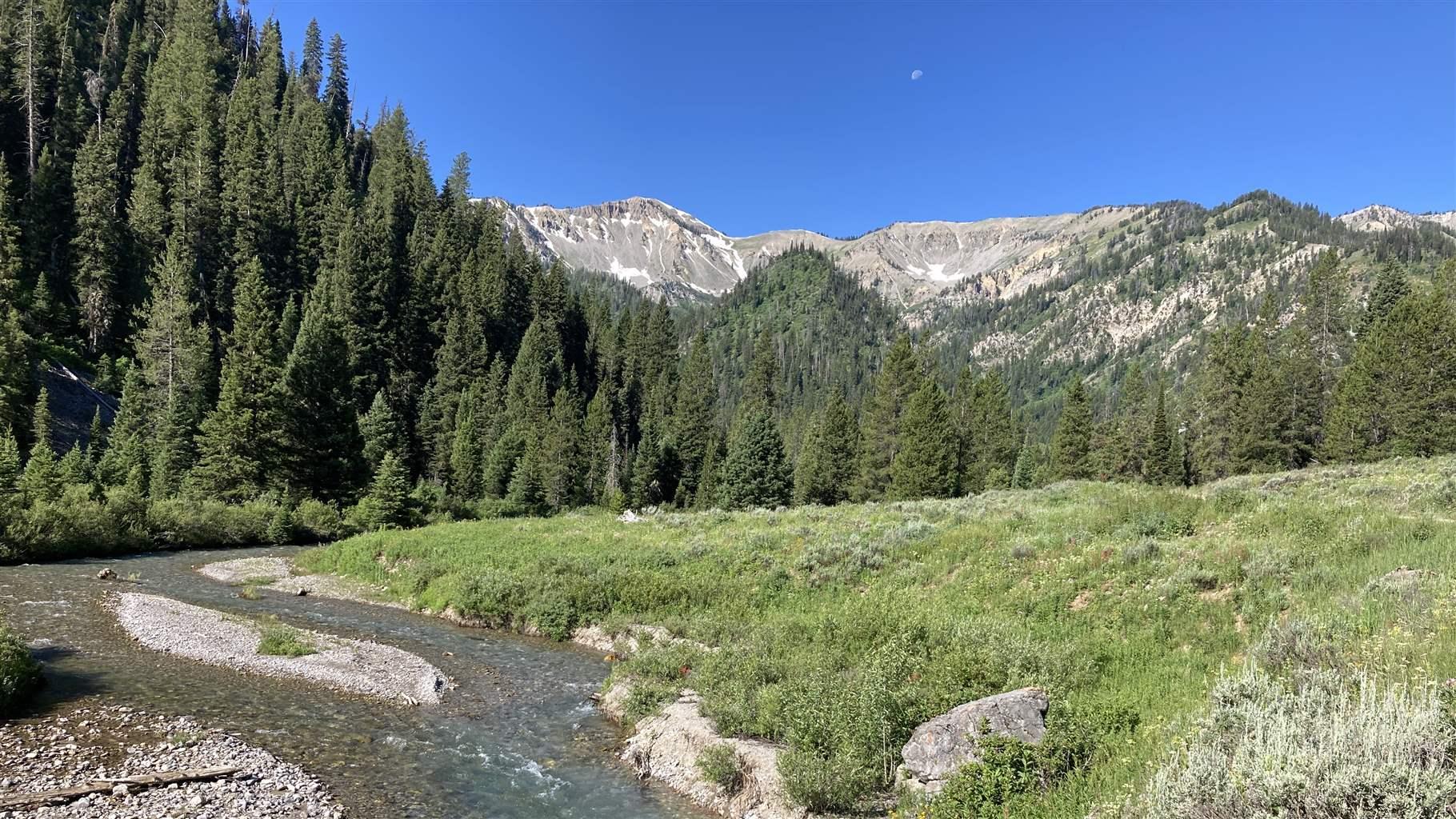 Murphy Creek in Bridger-Teton National Forest. Nearby campsites offer visitors a place to stay and enjoy these intact public lands and waterways.
