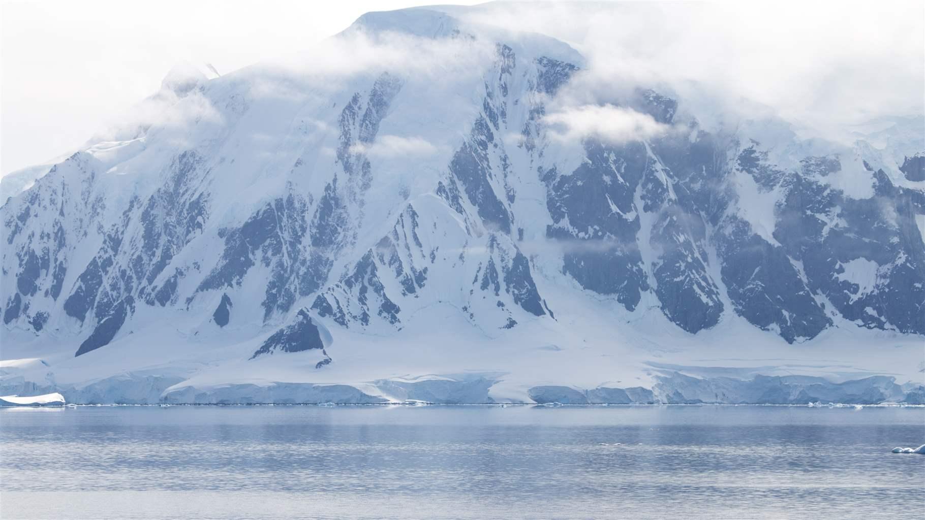 Killer whales in front of an Antarctic landscape.