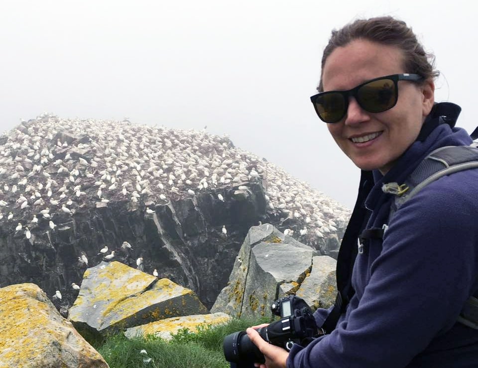 Alex Barron of the Canadian Parks and Wilderness Society photographs northern gannets at Cape St. Mary’s Ecological Reserve in Newfoundland and Labrador.