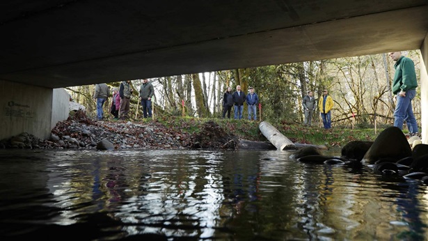 Visitors view a widened passage for salmon