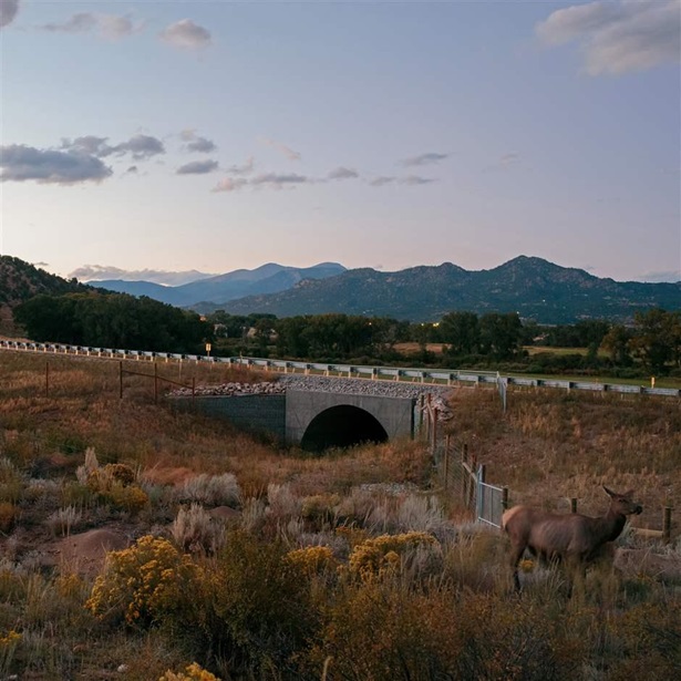 Wildlife crossings, such as this one under U.S. 285 near Buena Vista, Colorado, provide safe passage for migrating elk and other animals