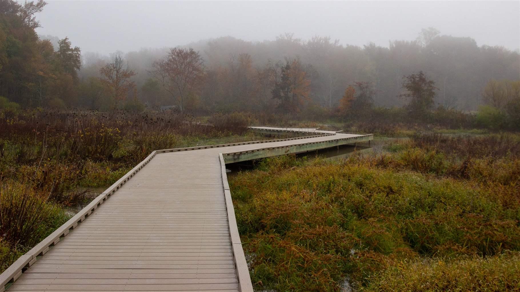 A walkway through a North Carolina wetlands with seagrass to either side.
